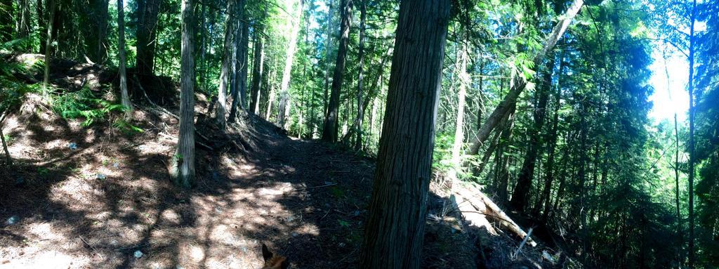 Hitching Post Resort Kelowna Bagian luar foto