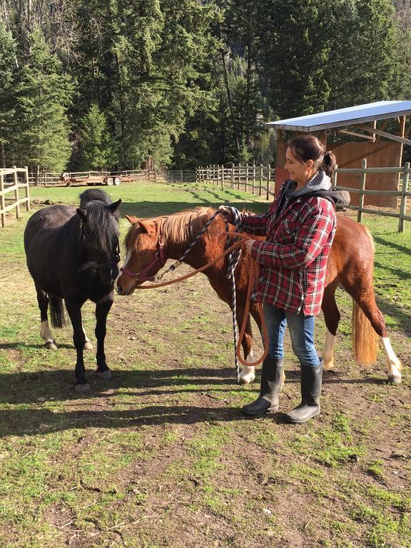 Hitching Post Resort Kelowna Bagian luar foto